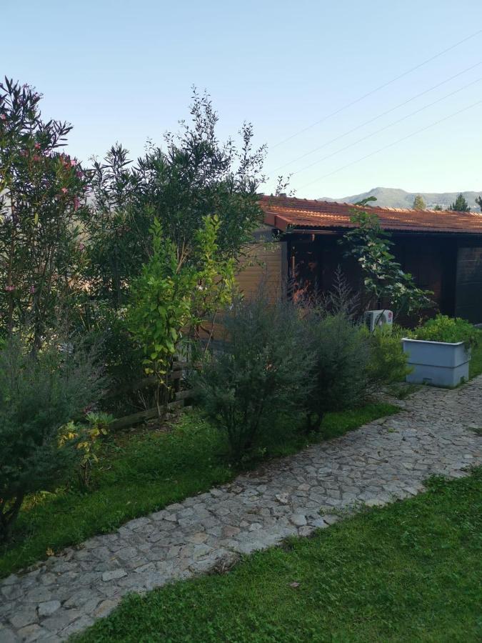 Casa Do Casal Lejlighed Arouca Eksteriør billede